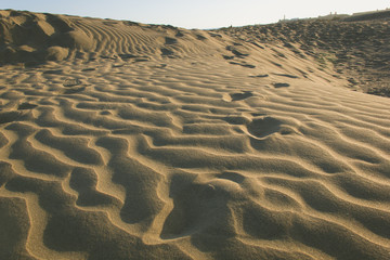 Wavy pattern of Maspalomas sand dunes at sunset. Arid desert lines shape hill at twilight. Challenge, adventure explore, thirst concept