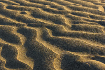 Sand dunes lines texture at sunset. Sand waves shape background. Yellow light and shadow abstract pattern at twilight, golden hour at desert concept
