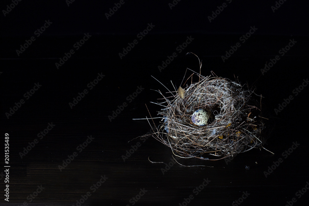 Wall mural Nest bird and Eggs of bird on dark background and space for message