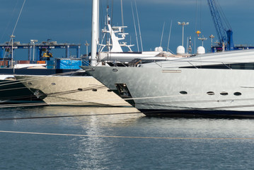 Naklejka premium Nice view of the luxury yachts in the port of valencia spain with the blue sky and clouds at sunset