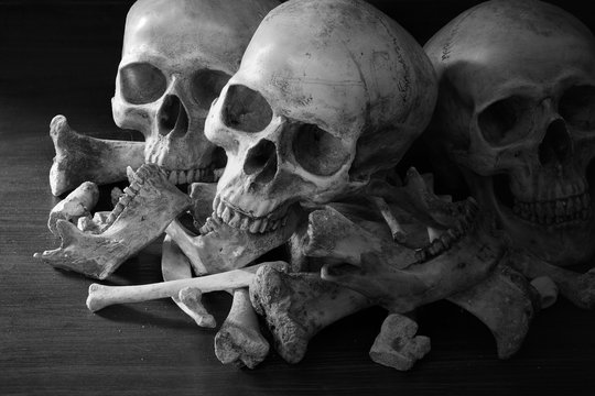 Awesome pile of three skull and bone on dark background in the morgue, Still Life style, 