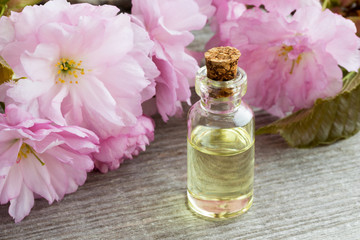 A bottle of essential oil with pink kwanzan cherry blossoms