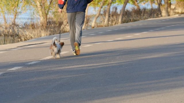 Man Running With His Dog