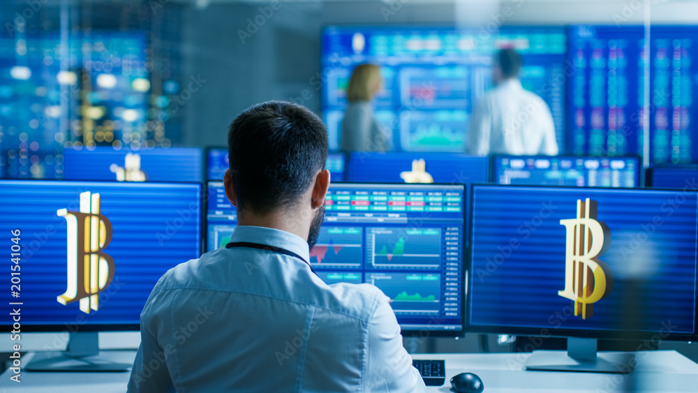 Leinwandbilder Back View of the Stock Trader Working in Cryptocurrency Exchange Department. Screens Show Relevend Data, Graphs and Ticker Numbers, Other People Work in the Office.