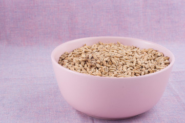 Pale malt in pink bowl on purple textile background. Craft beer brewing from grain barley malt in process. Ale or lager from pale or dark pilsner malt.