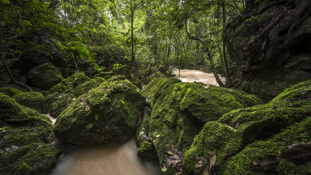Mossy Rocks