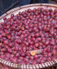 nutmegs and mace