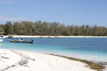 Obraz premium Zanzibar Beach