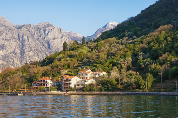 Mediterranean landscape with contrast of snow-covered and green mountains. Montenegro,  Bay of Kotor ( Adriatic Sea )