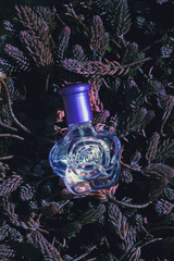 Glass Perfume Bottle Spring