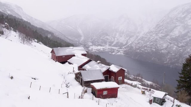 Farm by the fjord