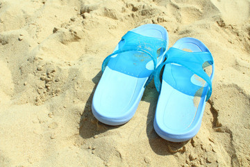 Female shales of blue color on the beach sand. Close-up. Background. 