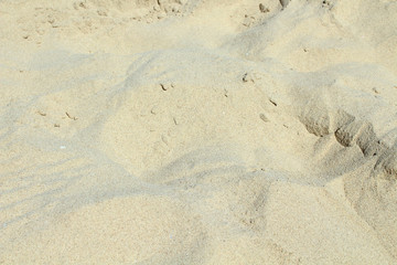 Beach sand close-up. Background.