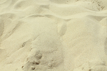 Beautiful beach shell sand. Close-up. Background. Texture.