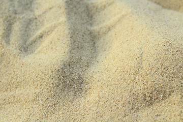 Beautiful shell sand on the beach. Close-up. Background. Texture.