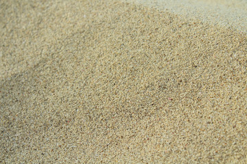 Fototapeta na wymiar Beautiful shell sand on the beach. Close-up. Background. Texture.