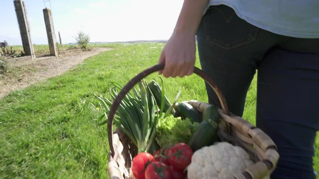 Farmer walking and holding basket of vegetables