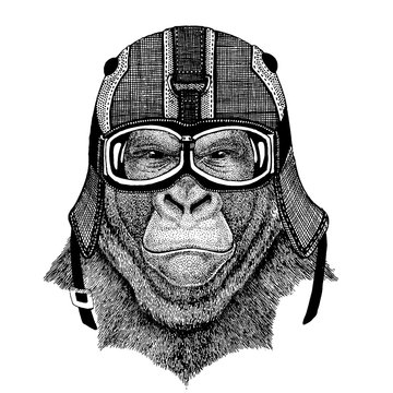 gorilla, monkey Animal wearing motorycle helmet. Image for kindergarten children clothing, kids. T-shirt, tattoo, emblem, badge, logo, patch