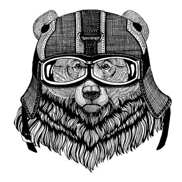 Bear, grizzly bear Animal wearing motorycle helmet. Image for kindergarten children clothing, kids. T-shirt, tattoo, emblem, badge, logo, patch