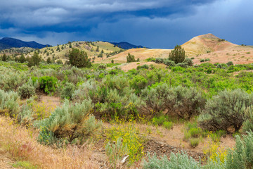 North America, United States, Oregon, Central Oregon, Redmond, Bend, Mitchell. Series of low clay hills striped in colorful bands of minerals, ash and clay deposits.