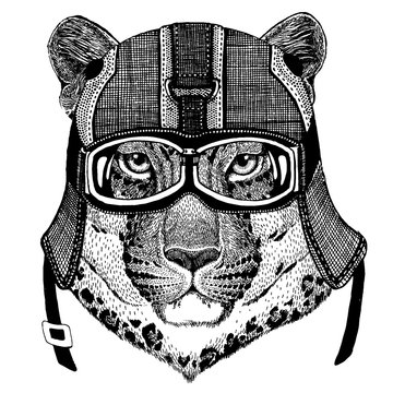 Jaguar, leopard Animal wearing motorycle helmet. Image for kindergarten children clothing, kids. T-shirt, tattoo, emblem, badge, logo, patch