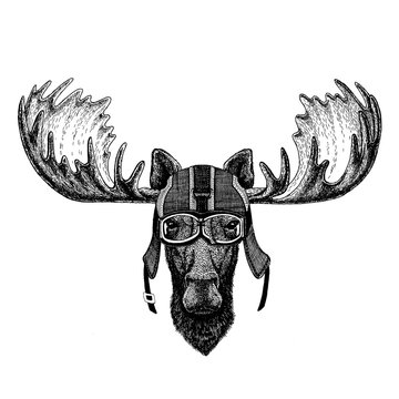 Moose, elk. Hipster animal wearing motorycle helmet. Image for kindergarten children clothing, kids. T-shirt, tattoo, emblem, badge, logo, patch