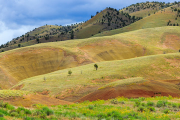 Obraz premium North America, United States, Oregon, Central Oregon, Redmond, Bend, Mitchell. Series of low clay hills striped in colorful bands of minerals, ash and clay deposits.
