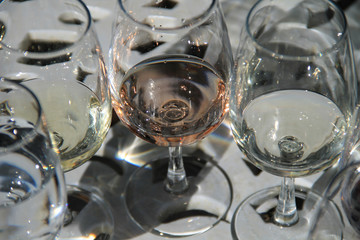 Wine Tasting Western Cape