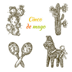 Cinco de mayo. Beautiful set elements. Cactus with flowers, pinata - donkey and maracas. Engraving style. Vector illustration.