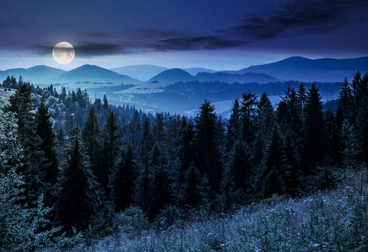 spruce forest in mountains at night in full moon light. lovely summer landscape