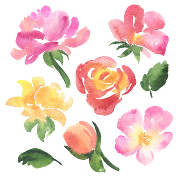 Set of sketch watercolor rose flowers and leaves