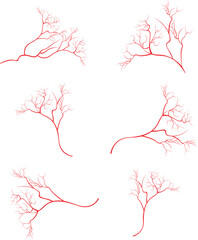 Human eye veins, vessel, blood arteries isolated on white vector. Set of blood veins, image of health red veins illustration.