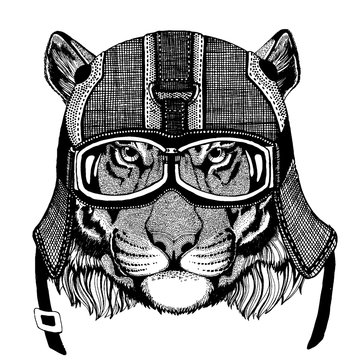 Tiger, wild cat Hipster animal wearing motorycle helmet. Image for kindergarten children clothing, kids. T-shirt, tattoo, emblem, badge, logo, patch