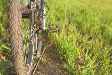 Close-up on a bicycle at the back, Mountain Bike Protector	
