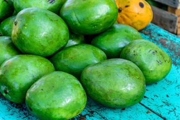 Pile of green mangoes on turquoise table, Guatemala, Central America
