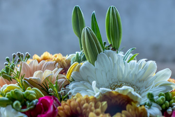 Obraz premium Springtime
