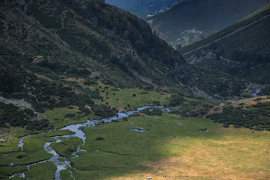 Riachuelo cruzando un prado entre montañas en el Pirineo catalan.