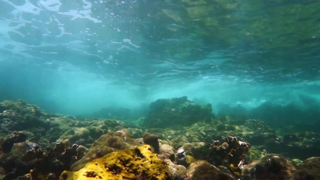 Underwater small wave breaking on the reef, natural sunlight, Caribbean sea, 50fps
