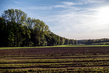 Agrarlandschaft