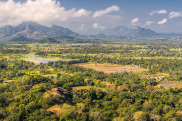 View from Sigiriya.
