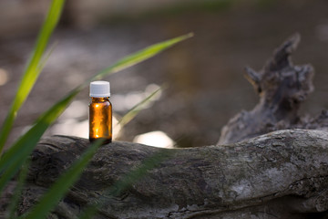Amber Glass Bottle on Tree Log