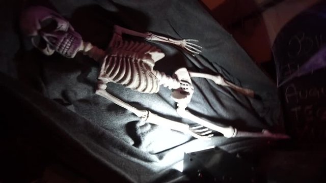 Spooky Skeleton on Wall