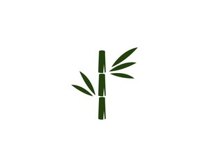 Fototapeta na wymiar bamboo ilustration logo vector