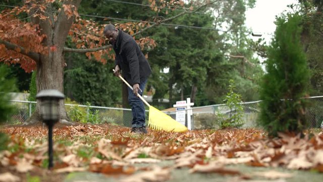 Mid adult man raking leaves in domestic garden, panning left. 