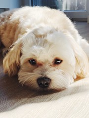 Processed with VSCO with f2 preset