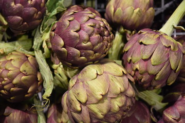 Fototapeta premium Artischocken