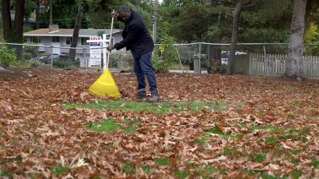 Man raking autumn leaves in domestic garden, zooming in. 