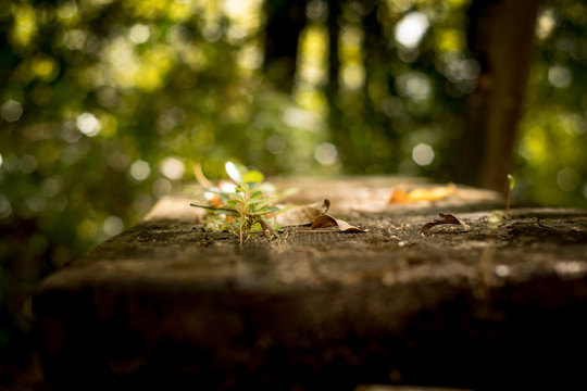 Un vide combl&eacute; par m&egrave;re Nature