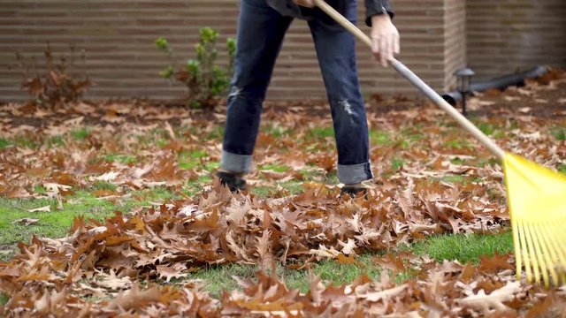 Mature woman raking leaves in domestic garden, zooming out. 