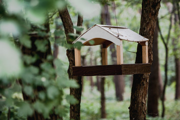 Wooden bird feeder on tree